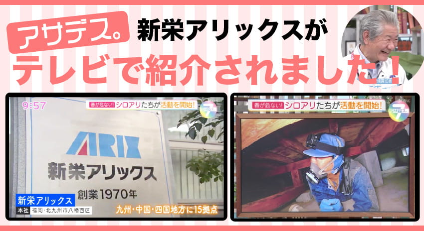 テレビ放送で特集が組まれました!